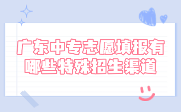点点taptap手机官网志愿填报有哪些特殊招生渠道