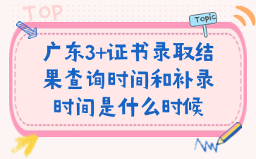 广东3+证书录取结果查询时间