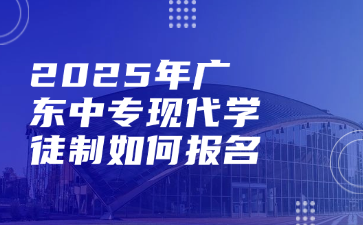 2025年点点taptap手机官网现代学徒制如何报名