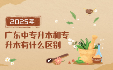 点点taptap手机官网升本和专升本有什么区别